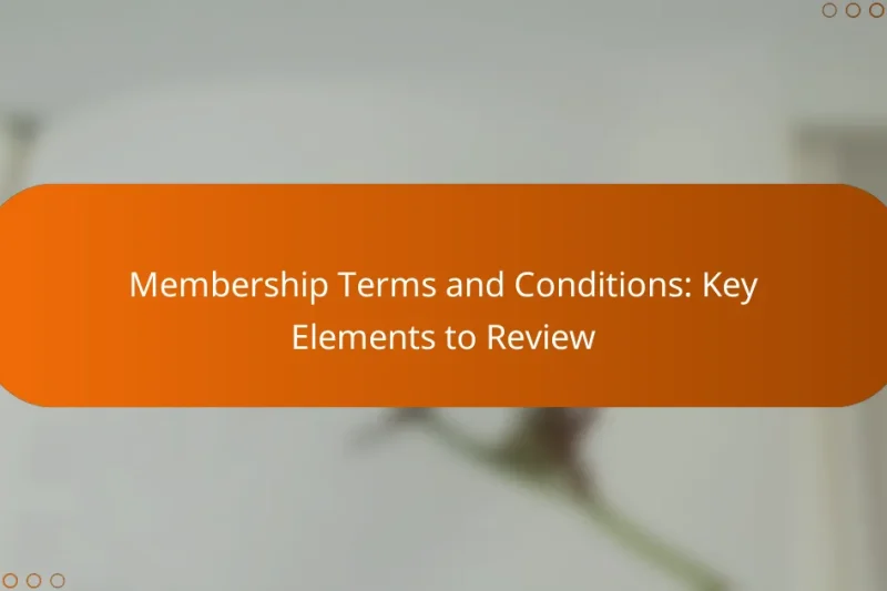 Membership Terms and Conditions: Key Elements to Review
