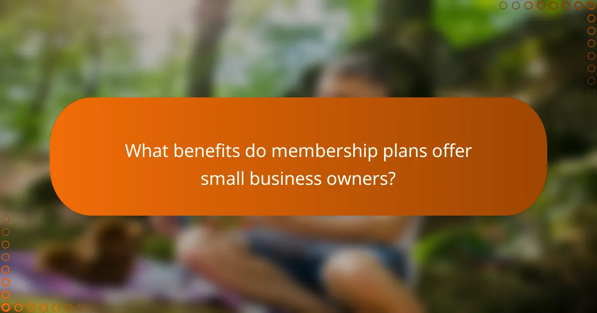What benefits do membership plans offer small business owners?