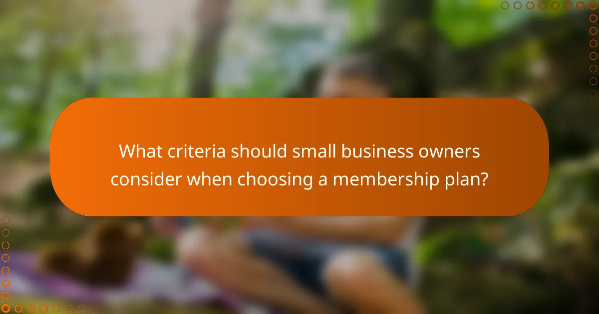 What criteria should small business owners consider when choosing a membership plan?